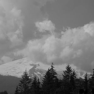 Meet your Posher, Tanya